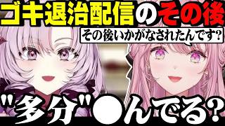 【御子神琴音＆壱百満天原サロメ】グチュッて！G退治配信のその後、Gの退治の仕方に爆笑するお嬢【にじさんじ/切り抜き】
