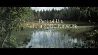preview picture of video 'NATURA 2000 // VINDELÄLVEN // SWEDEN'