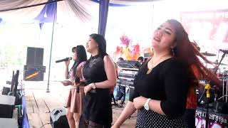 Download lagu ' CANTIK & SEKSI ARTIS OM.ALLICA MUSIK ' Live Sukaraja Baru # Kartimin Studio ' mp3 Download lagu ' CANTIK & SEKSI ARTIS OM.ALLICA MUSIK ' Live Sukaraja Baru # Kartimin Studio ' mp3