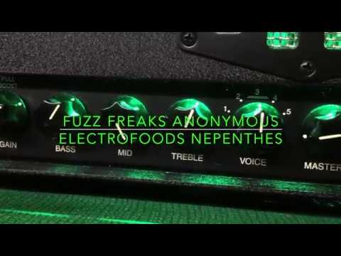 Electrofoods Ultd. Nepenthes Bass Demo