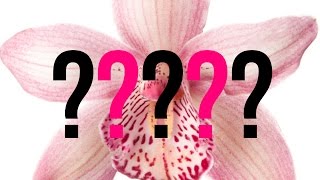 7 Questions All Women Have