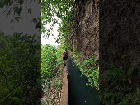 La acequia de Los Borbollones en Santo Domingo de Guzmán, Sonsonate #elsalvador