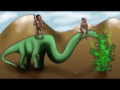 RARE boi x JLUCH - Znaesh