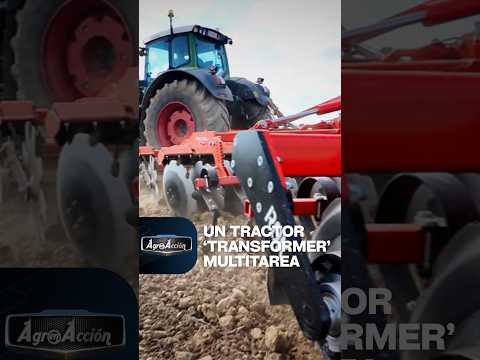 Las cinco tareas que hace este 