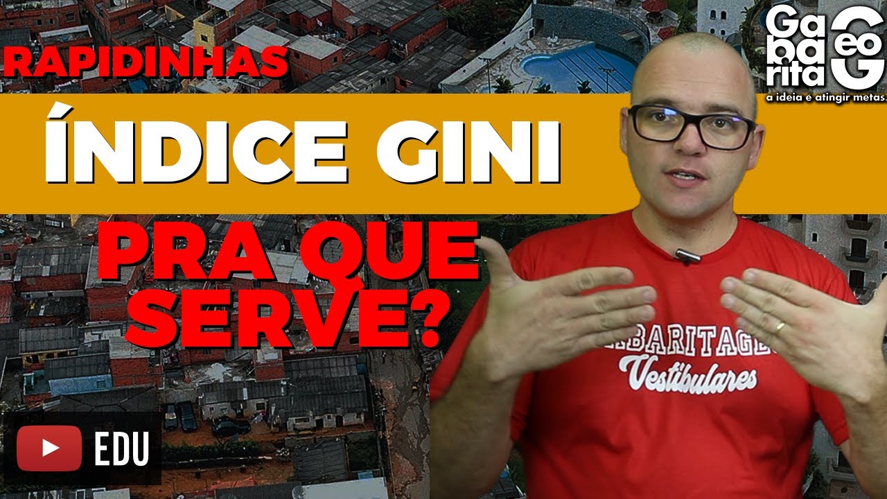 O QUE É ÍNDICE GINI? Geografia | Rapidinhas #013