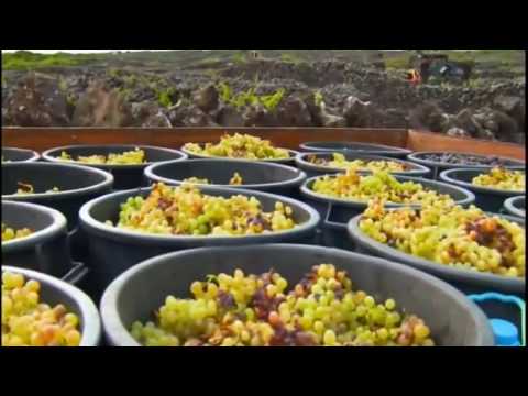 O Encanto do Azul Profundo - Ep 04  Europa Dublado HD Completo Discovery Theater