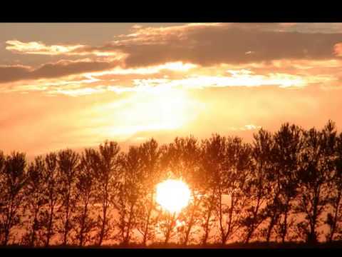 Aleksandar Medošević - Daj, đevojko, da jednom poljubim