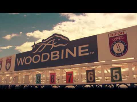 2016 | Season Highlights