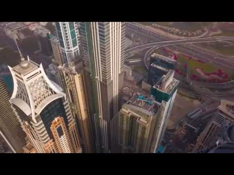 Columbo Black - Sapiosexual