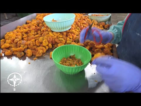 HFRUT Frutas desecadas de Mendoza a todo el país 