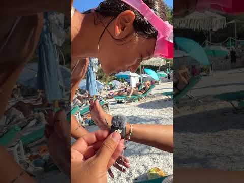 MARA a Găsit CEVA prețios în ADANCURILE mării din Grecia! 😱