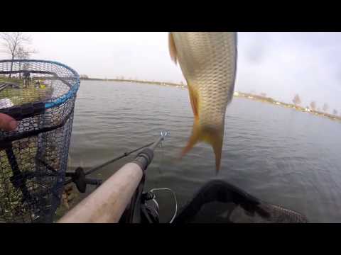 Method Feeder Fishing - Pecasarok - Moby Dick horgásztó 2017.03.25.