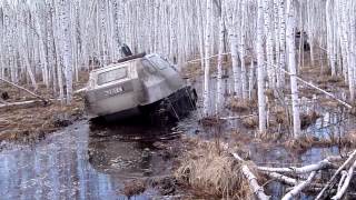 Ссылка