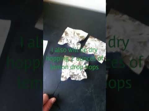 Session IPA brew day