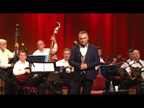 Slavko Našigaćin - Danas Nije Moja Nedelja   #slavkonasigacin#koncert#vtortvns#