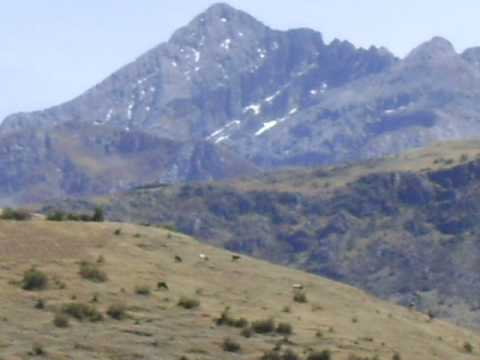 corazon grauino charranguito ªLy