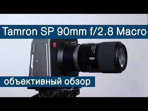 Video thumbnail for Video Review 2