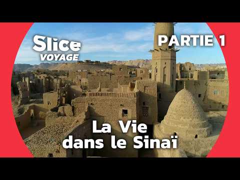 Au-delà du Nil: Les Secrets du Désert Égyptien I SLICE VOYAGE | PARTIE 1