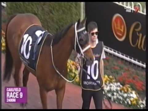 2014 MRC Caulfield Cup Pre Race