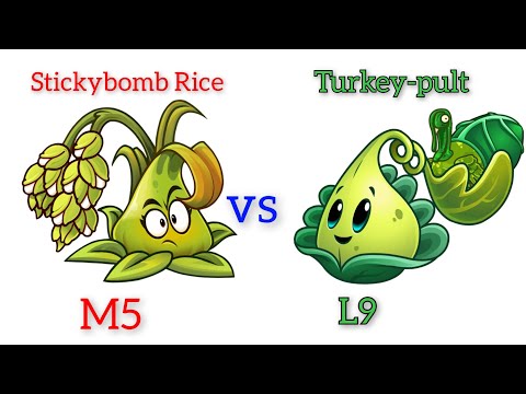 Stickybomb Rice  vs Turkey-pult