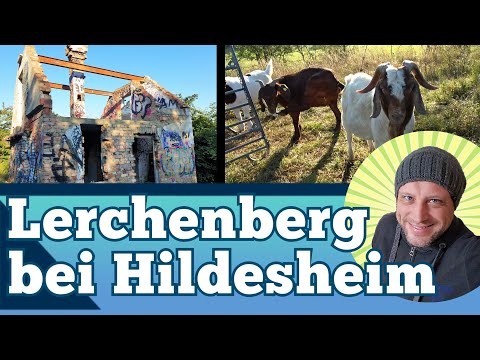 Der Lerchenberg bei Hildesheim - Wanderung über Gallberg, Finkenberg und Rottsberg - Giesener Berge
