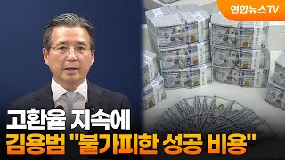 고환율 지속에…김용범 "불가피한 성공 비용" / 연합뉴스TV (YonhapnewsTV)