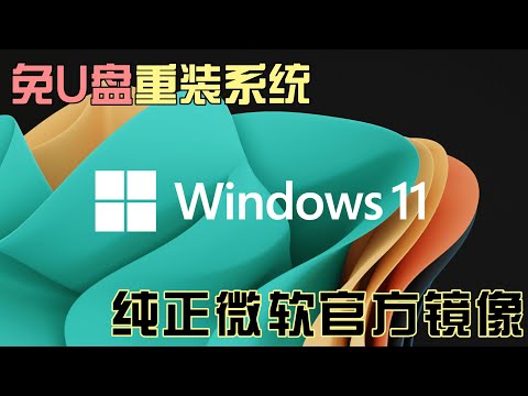 Windows 11安装教程 （最新版本24H2），无需U盘也能重装电脑，微软官方系统原生ISO镜像，自己动手重装系统！| D1科技站