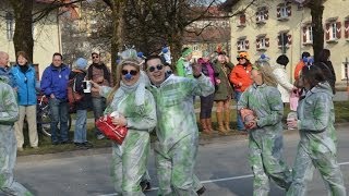 preview picture of video 'Faschingszug durch Traunstein 2014'