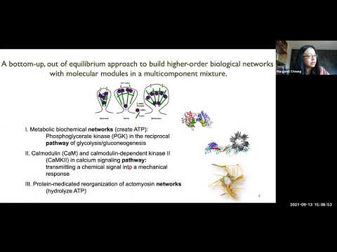 Margaret Cheung 2021 09 13