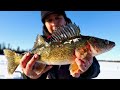 Video Thumbnail for Ice Fishing Backcountry Walleye (surprise PB pike)