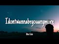 Idontwannabeyouanymore Billie Eilish Lyrics