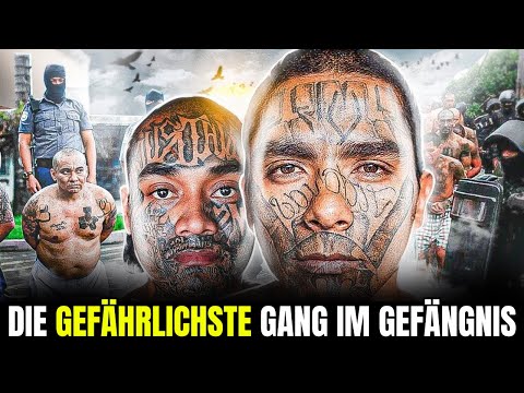Die gnadenlosesten Gangs im Gefängnis: Was hinter Gittern geschieht