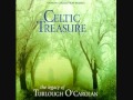 Carolan's Concerto