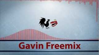 Gavin Freemix