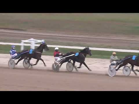 2022.11.26. 15. futam - MÉNESEK DÍJA (NÜL-X.)