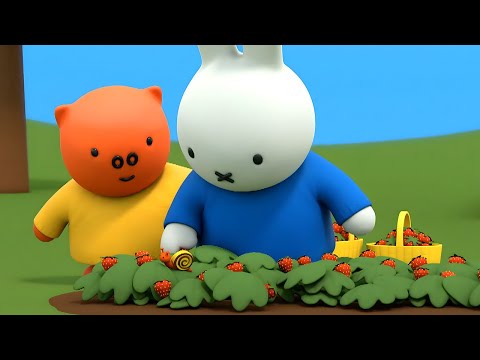 Snail in the Strawberry Patch | Miffy | Full Episodes