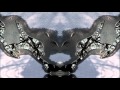 The Legendary Pink Dots - Ice Baby Cometh