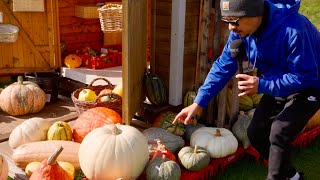 24/7 Pumpkin Stand in Bavaria: Honor System Self-Checkout! 🎃