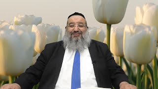 הרב רחמים נמני - מסירות נפש של נחשון בן עמינדב שבזכותו נקרע ים סוף | ביאור מעלת שבת ויום י שבט
