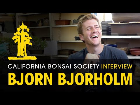 CBS Visiting Artist Interview: Bjorn Bjorholm of Eisei-En Bonsai