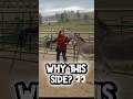 I Thought I Knew Why Donkeys Do This…