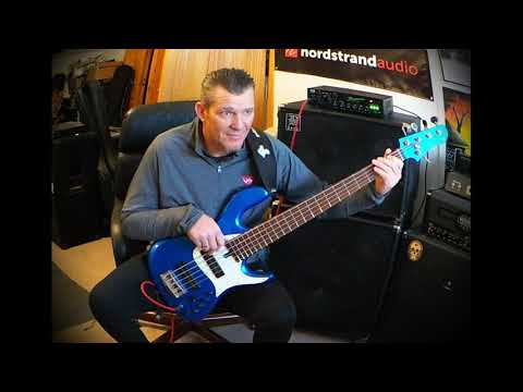 DEMO - Lorita Fantone 5-AI Bass - Nordstrand ZenBlades Pickups - Andy Irvine