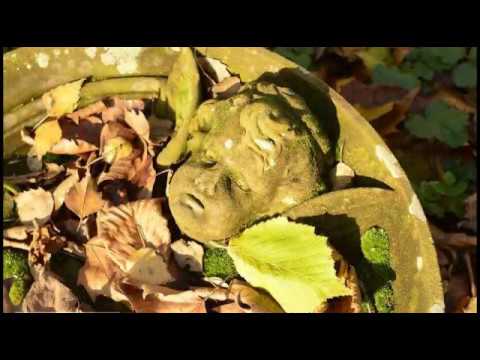 Der Alte Friedhof in Pirmasens (Re-Cut)