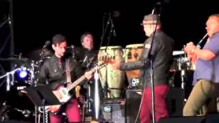 Mr Pharmacist   Pat Ryan with Chuck Prophet and the Mission Express