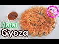 #36 Halal Gyoza (Japanese Chicken Dumpling) ハラル餃子 / Nur Maki's Kitchen