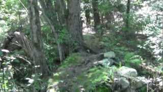 preview picture of video 'Bay Circuit Trail Bedford MA: The Buehler Ponds Conservation Area Part 1.'