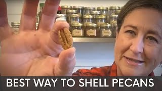 The Easiest And Best Way To Shell Pecans