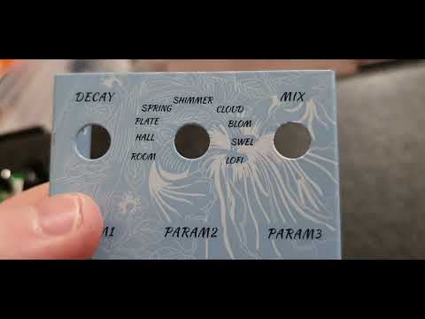 Loscha Opens - EROK/M-Vave Mini Universe Reverb Pedal (Pssst - it's ALSO an audio interface!)