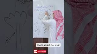 صورة شذرات لغوية: الفرق بين الشجر والنجم