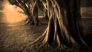 Thanks For Coming - Hopes Die Last   español (acustica)